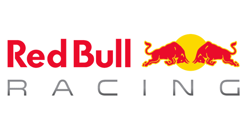 Sabelt – Racing World, Original Equipment Manufacturing, special Application seatbelts Red Bull